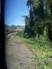 Looking Back on the Train